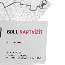 Düz Kesim Çift Yön Standart Kartvzit-3.webp