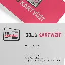 Düz Kesim Çift Yön kısmi lak Ekonomik Kartvzit-1.webp