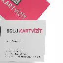 Düz Kesim Çift Yön kabartma lak Ekonomik Kartvzit-3.webp